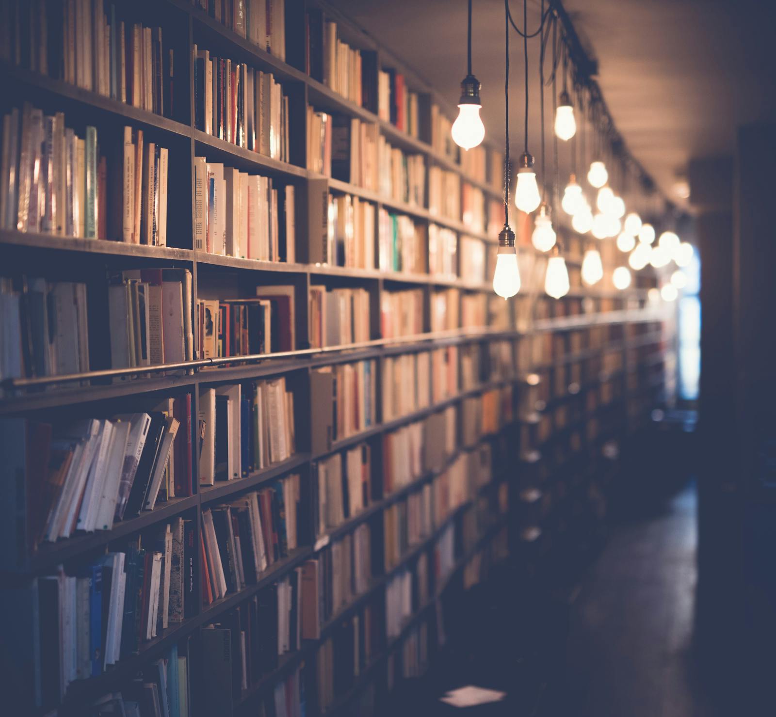 Library shelf in warm light &mdash; take the work home.