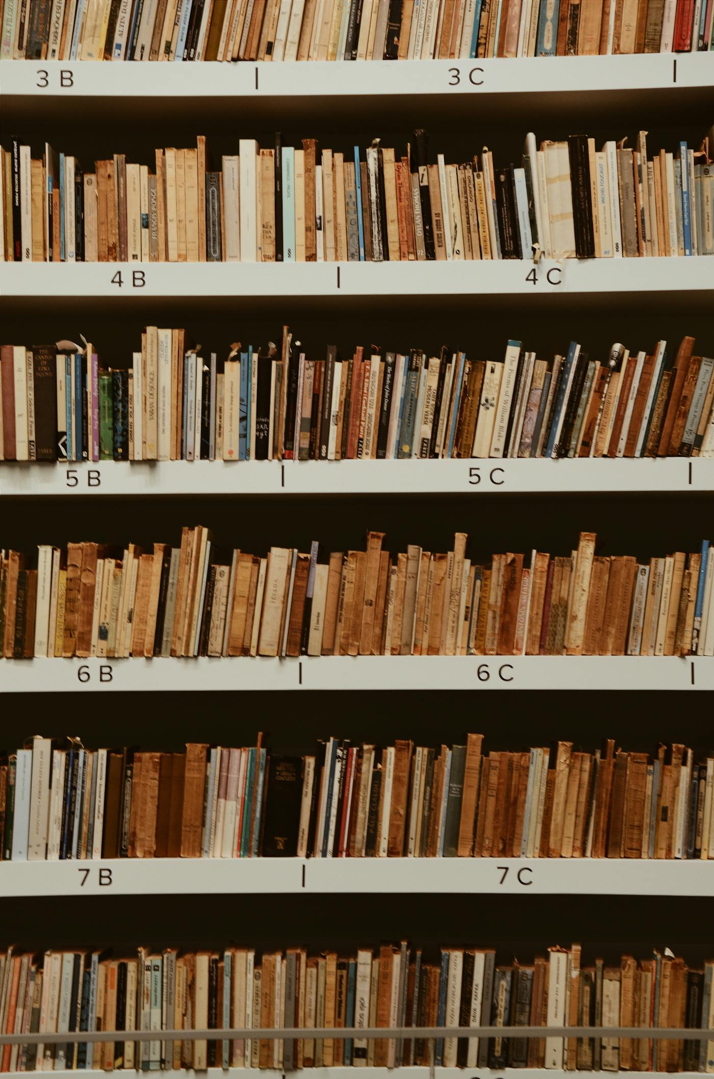 Brand Master Book — the codified system