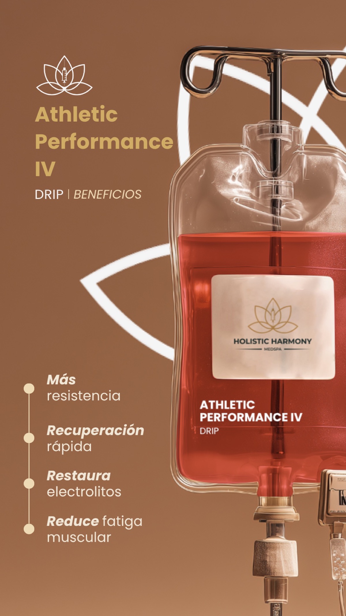 Holistic Harmony &mdash; collateral